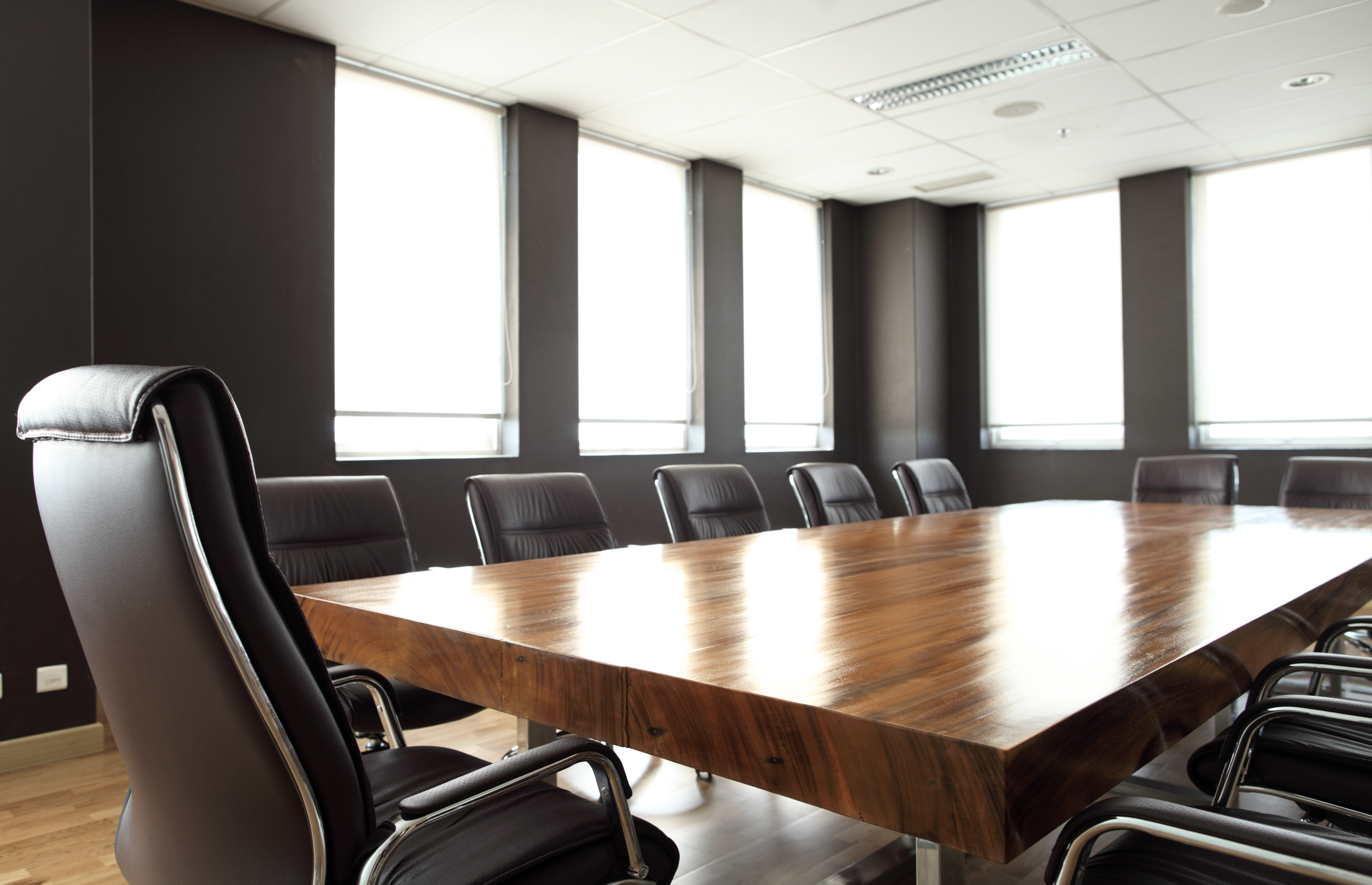 Consulting Services